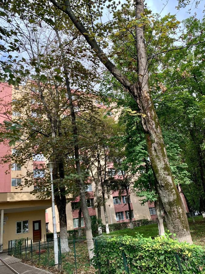 Luand Apartament Iasi Eksteriør bilde